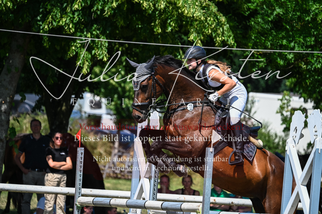 DSC_1068 | Pferde- und Turnierfotografie in Westsachsen. Pferdeportraits, Auftragszeichnungen und intuitive Kunst.