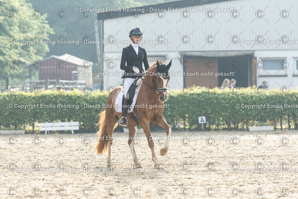 CL5A3556 | Emilia Reinking Fotografie - Realisiert mit Pictrs.com