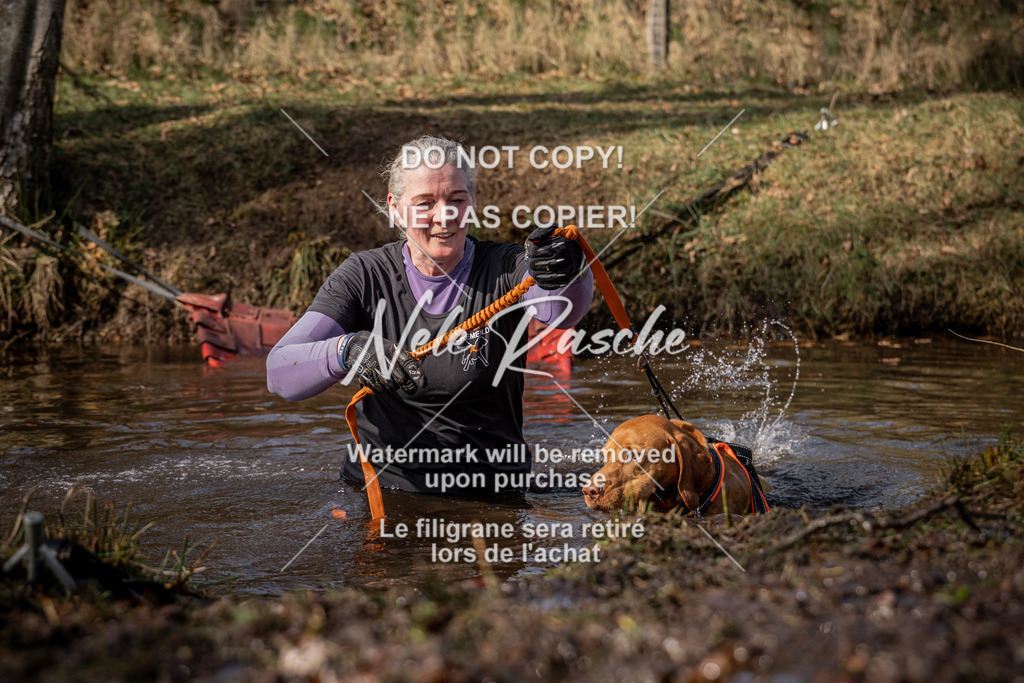 nelerasche_FS1330-1400_305 | nelerasche