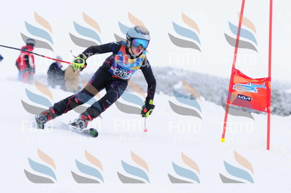 C2976 | holidayphoto