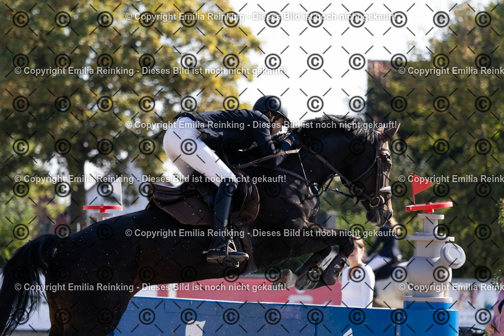 CL5A6080 | Emilia Reinking Fotografie - Realisiert mit Pictrs.com