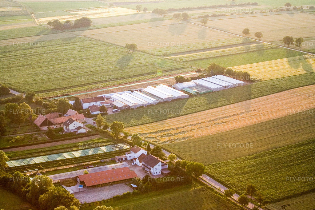Luftbild: Schaidt, Weilerhof im Ortsteil Schaidt in Wörth im Bundesland Rheinland-Pfalz in Deutschland. Foto: IMG_3146.jpg vom 30.06.2006 durch Werner Riehm/FLY-FOTO.de
