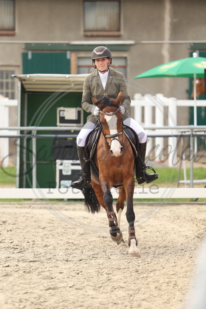 994A7875 | sabrinanicolaifotografie - Realisiert mit Pictrs.com