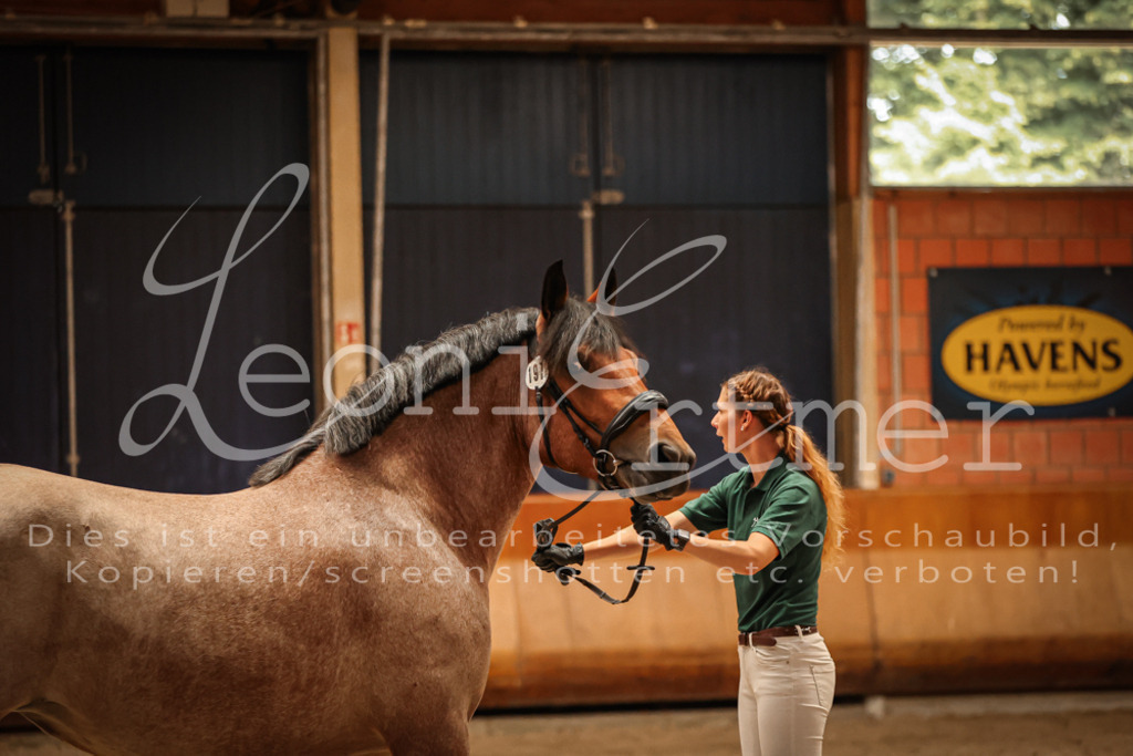 SaFL00349 | Leoni Ertmer Photography - Realisiert mit Pictrs.com