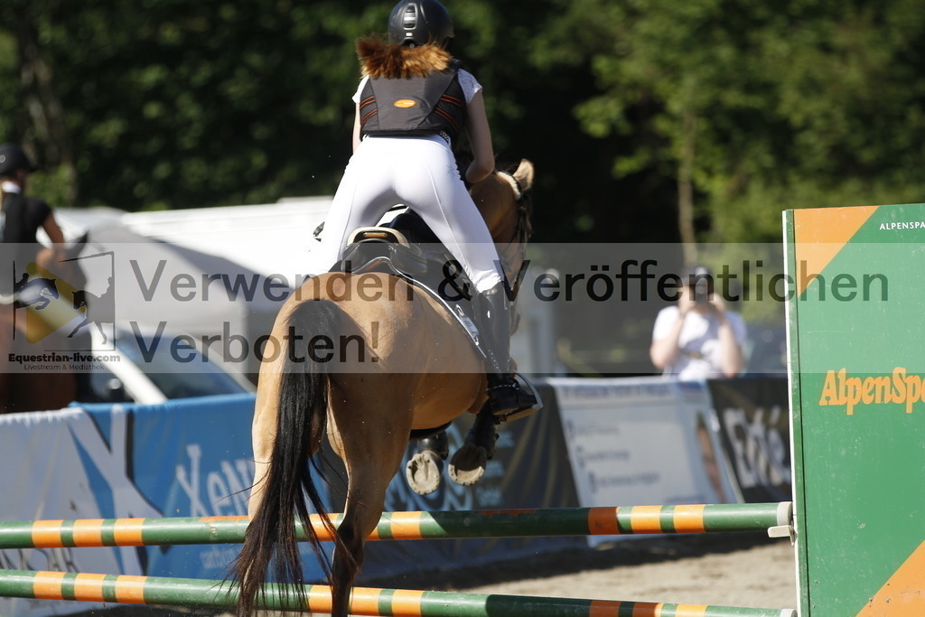 _MG_2484 | equestrian-live-com