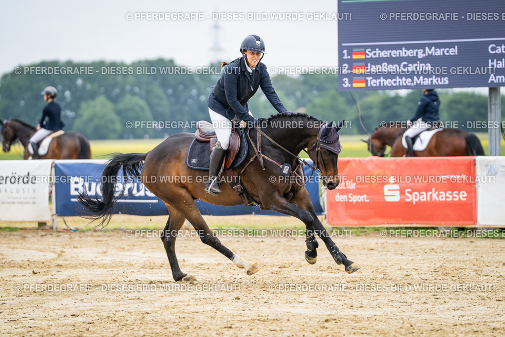 DSC02423 | Pferdegrafie