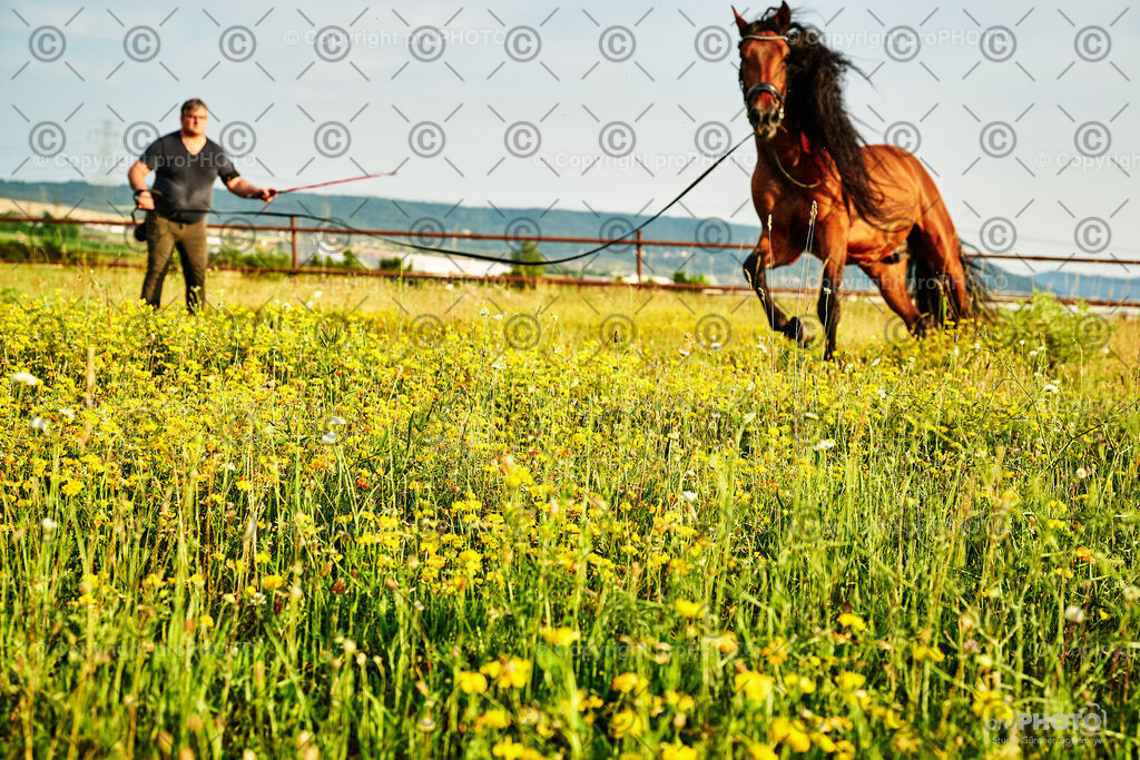 352_202406_Niki-Herodes_NZ9_0341 | proPHOTO - Realisiert mit Pictrs.com