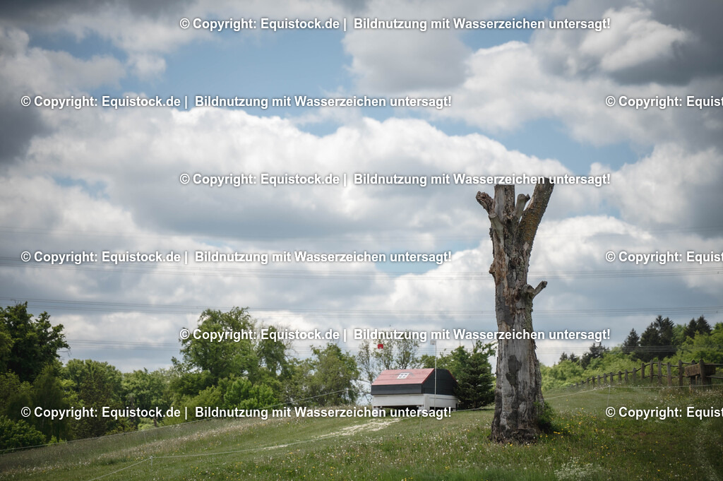 20250516_Impressionen_0004 | Foto: Thomas Hartig