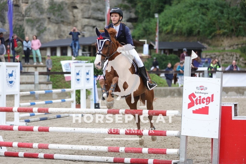 0P6A1550 | Willkommen bei Brunnmayr - Design & Fotografie – Ihrem Spezialisten für Reitturniere und Pferdeveranstaltungen in Oberösterreich, Salzburg und Bayern! Seit über 17 Jahren sind wir leidenschaftlich dabei.