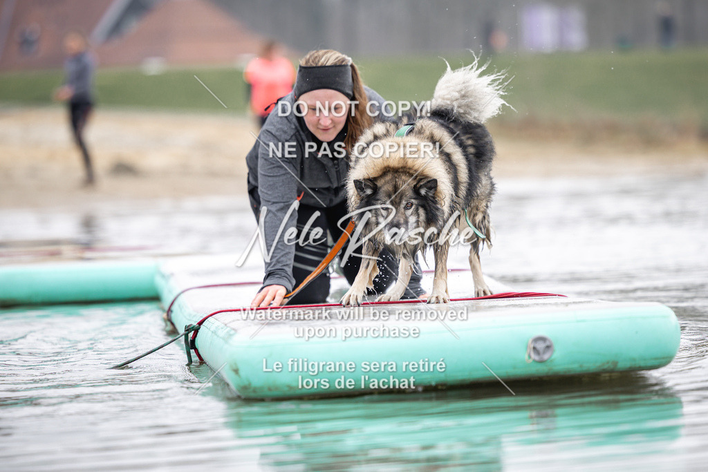 nelerasche_Hulsbeek_Sa1100-1130_667 | nelerasche