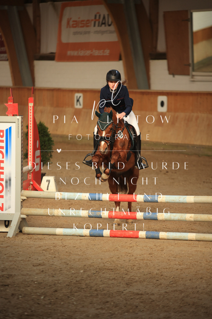 IMGT8958 | pl-fotografie