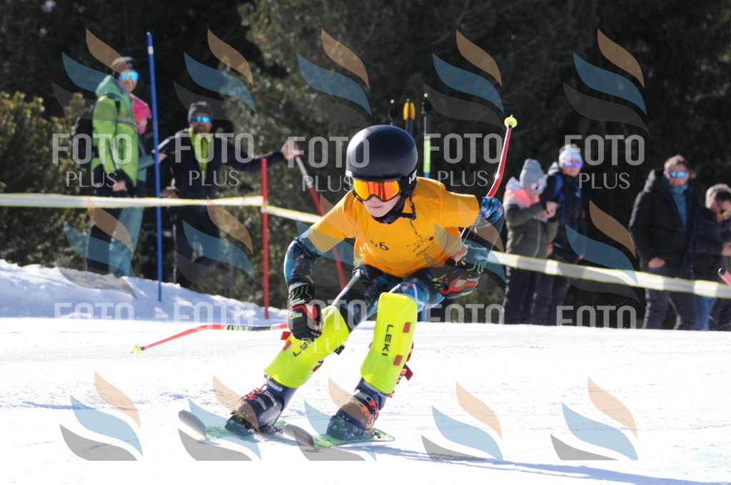 C7145 | holidayphoto