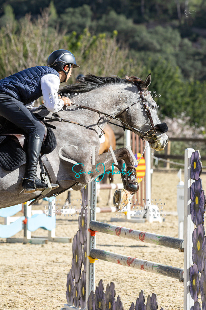 IMG_4124 | s-jay-photography - Realisiert mit Pictrs.com