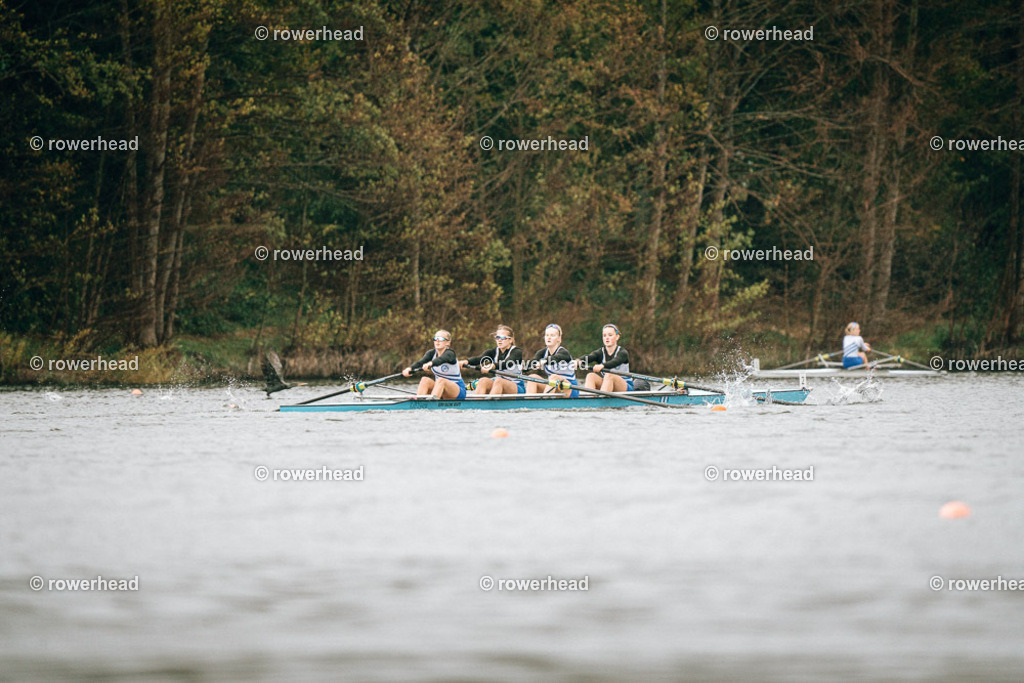 20251005_rowerhead_R032_S0391_DSC07631 | rowerhead - Realisiert mit Pictrs.com