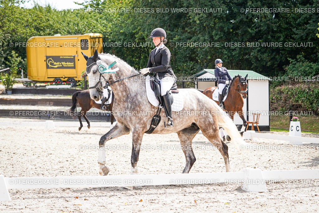 DSC02340 | Pferdegrafie