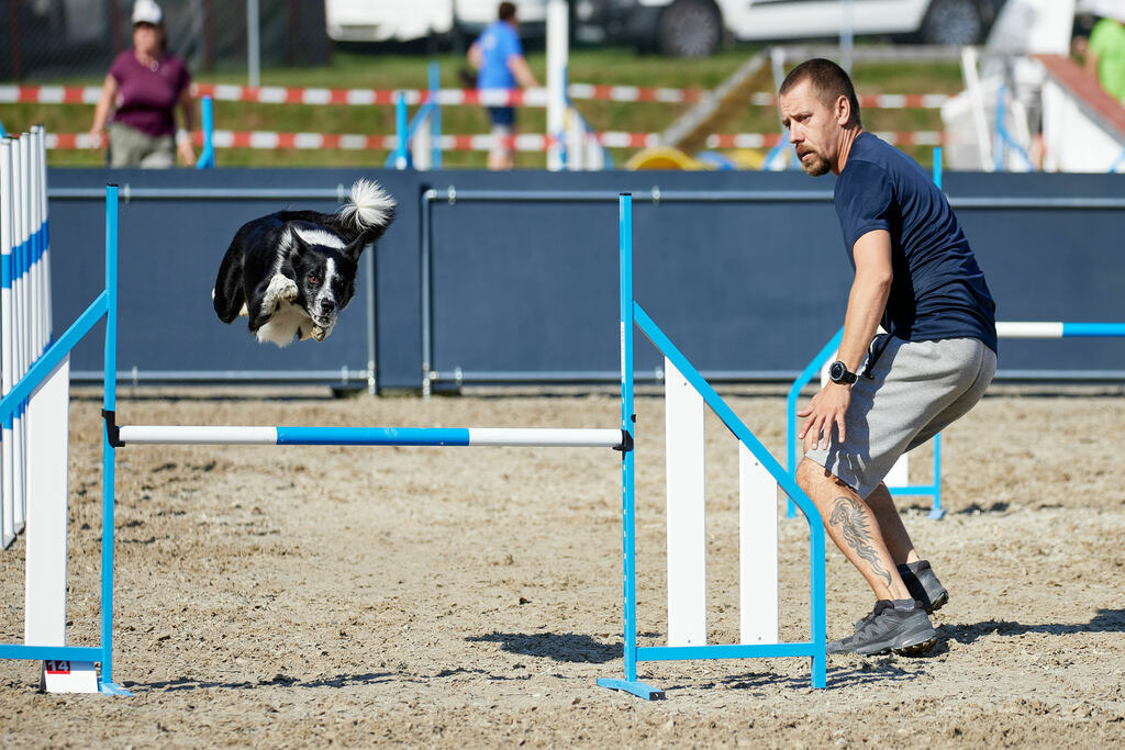 580A0176 | Peter Fridle Fotografie - Realisiert mit Pictrs.com