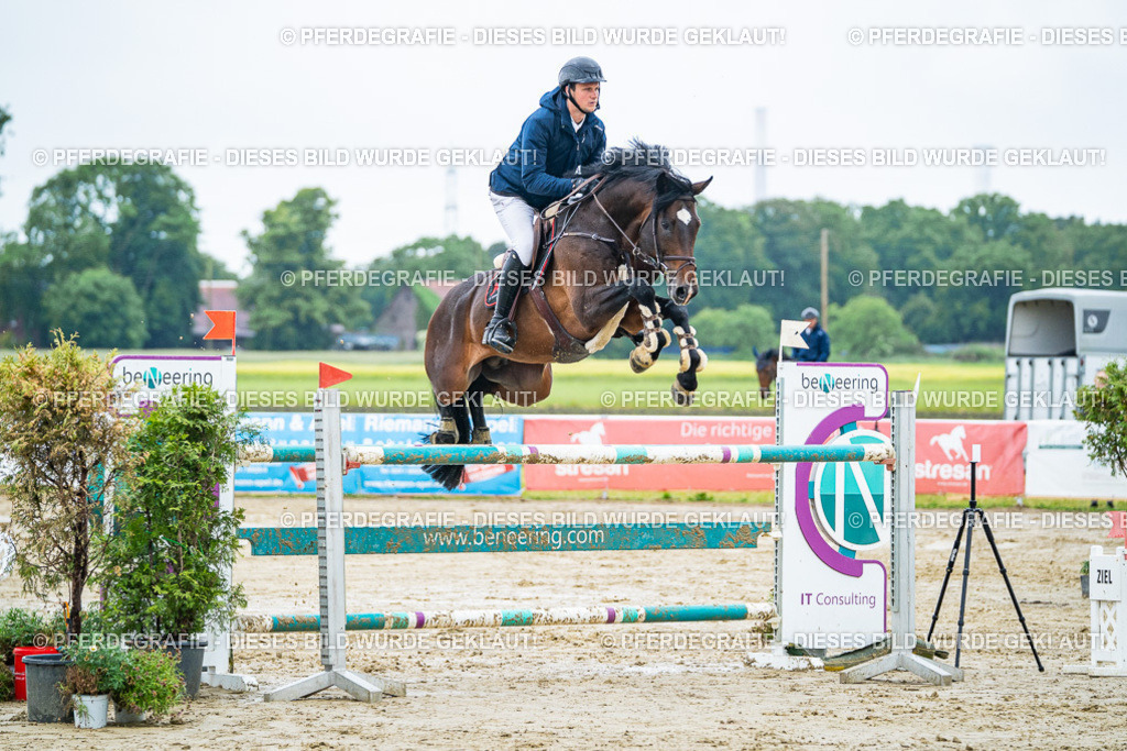 DSC03680 | Pferdegrafie