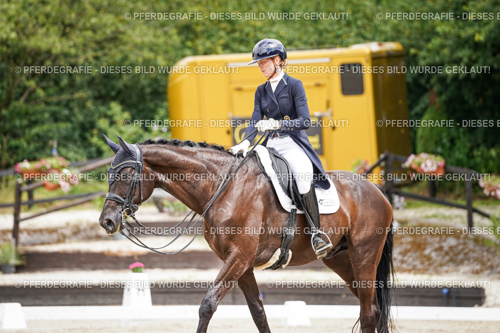 DSC06125 | Pferdegrafie