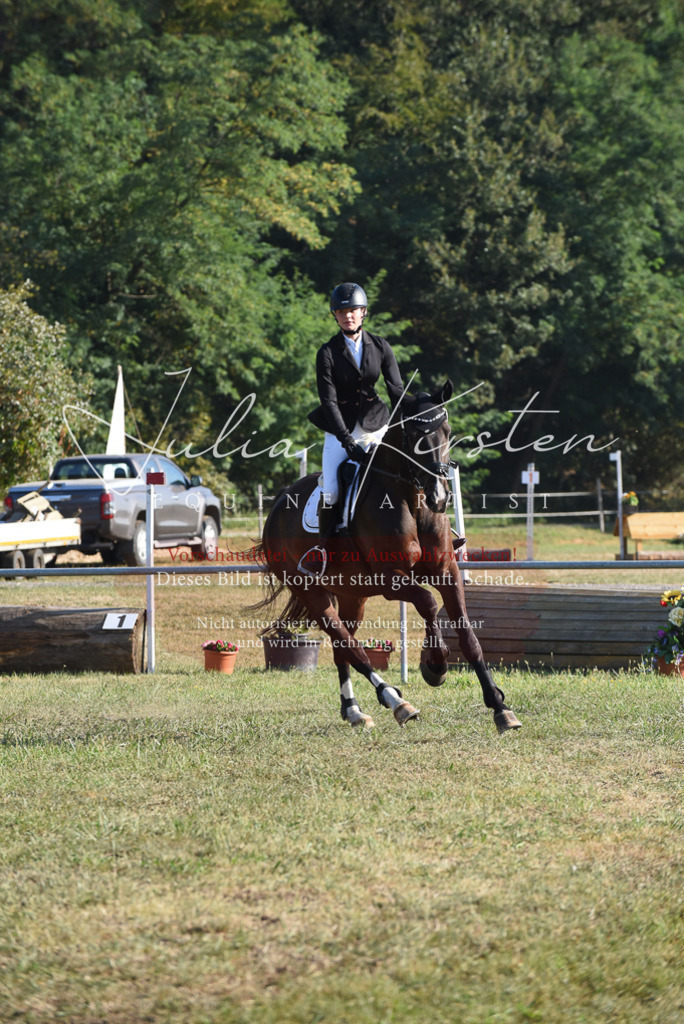 DSC_5148 | Pferde- und Turnierfotografie in Westsachsen. Pferdeportraits, Auftragszeichnungen und intuitive Kunst.
