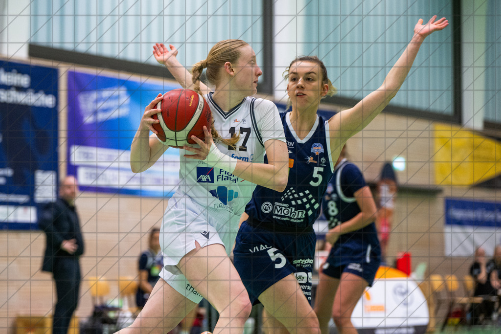 2. DBBL Nord 25/26 | Spieltag 02 | BBC Osnabrück vs. AstroLadies Bochum | 25.01.26: 2. DBBL Nord 25/26 | Spieltag 02 | BBC Osnabrück vs. AstroLadies Bochum / Osnabrück / Deutschland  //   CREDIT:www.bullenfotos.de, Martin König, Hörner Weg 40, D-49078 Osnabrück, +4917663732967 // Nutzung und Weitergabe nur zu den vereinbarten Zwecken. Presseanfragen an Ersteller. Alle Rechte beim Ersteller. Honorierung nach MFM. - Realisiert mit Pictrs.com