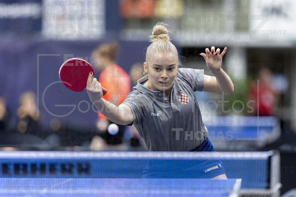 European_Championships_2024-10-15_115 | good-photos - Realized with Pictrs.com
