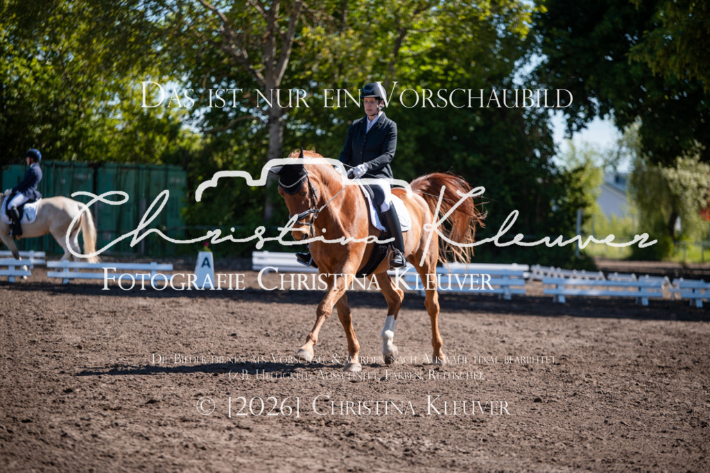 DSC_0037 | Christina-Kleuver