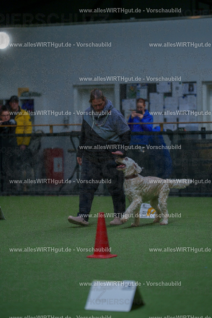 7R502793 | Professionelle Tierfotografie in Mönchengladbach von Daniel Wirth (allesWIRTHgut). Liebevolle & natürliche Bilder von Hunden & Katzen für unvergessliche Erinnerungen.