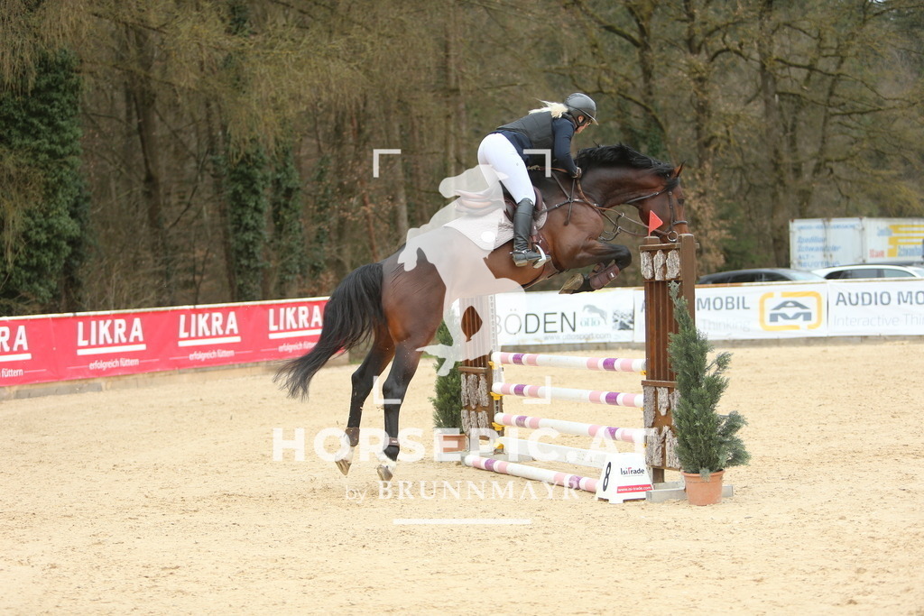 DL2Q6285 | Willkommen bei Brunnmayr - Design & Fotografie – Ihrem Spezialisten für Reitturniere und Pferdeveranstaltungen in Oberösterreich, Salzburg und Bayern! Seit über 17 Jahren sind wir leidenschaftlich dabei.