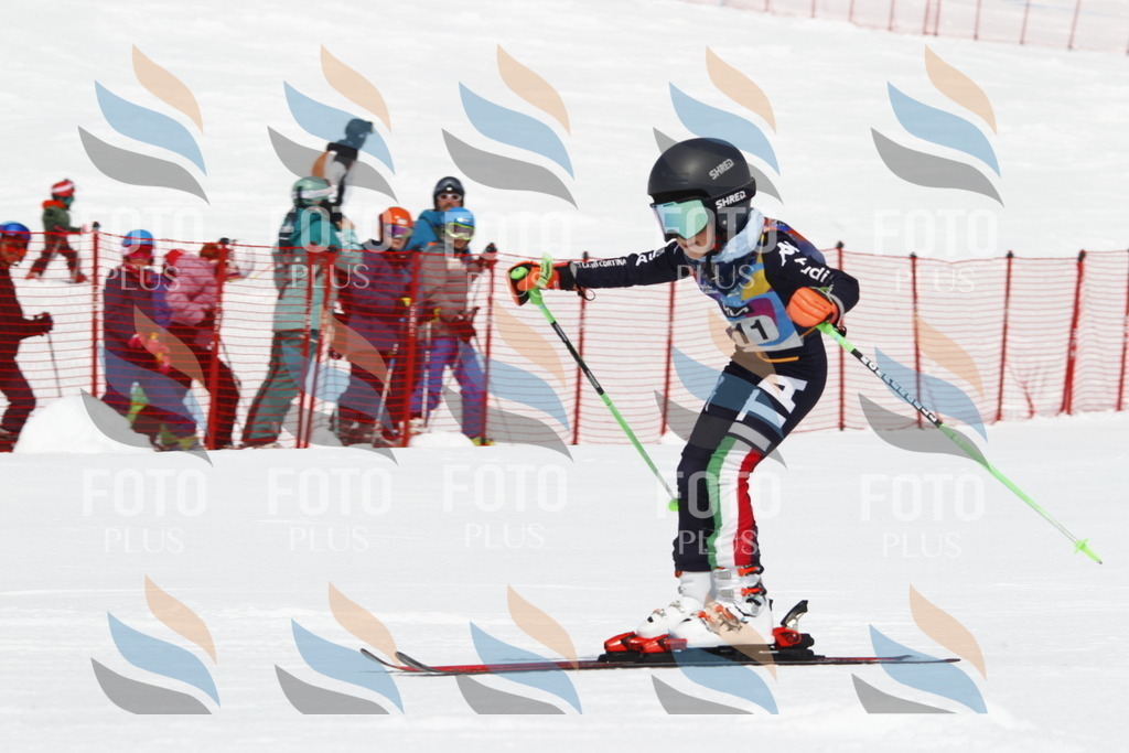 _U3G5453 | holidayphoto