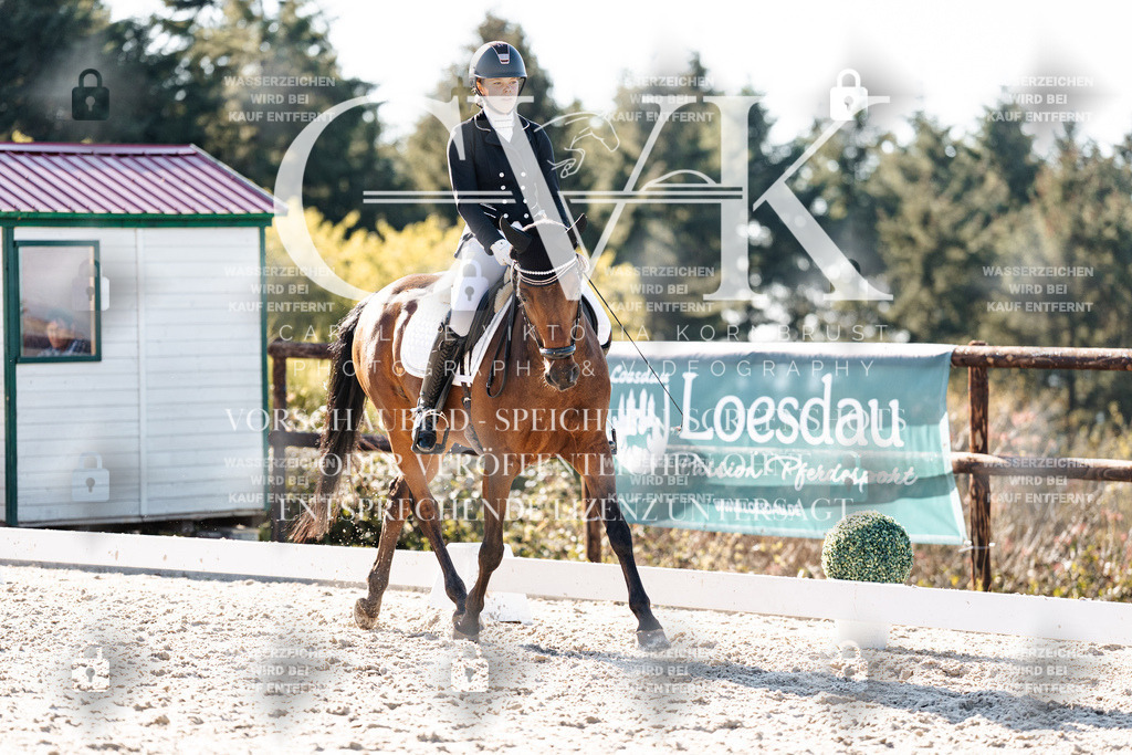 CK906202 | Turnierfotografie Pferdefotografie Trier Rheinland-Pfalz Pferdesport Reitsport Tierfotografie Sportfotografie Pferdevideo Pferdevideografie Equestrianvideography equestrianphotography  - Realisiert mit Pictrs.com