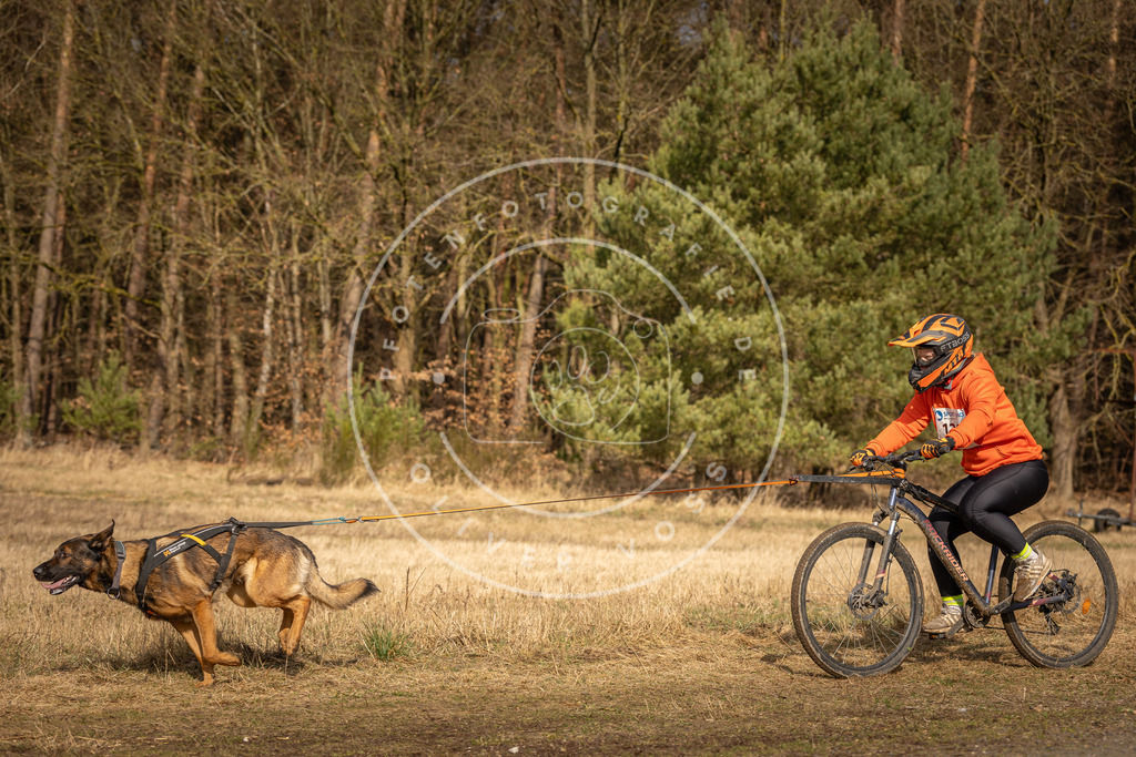 DV3A4258 | Hundefotografie, Tierfotograf, Pfotenfotografie, Fotoshooting Hund, Hunde Portrait, Hundesport, Hundeportraits, Heideshooting, Hunde, Sportfotograf, Hundefotograf, Turnierhundsport, THS,  - Realisiert mit Pictrs.com