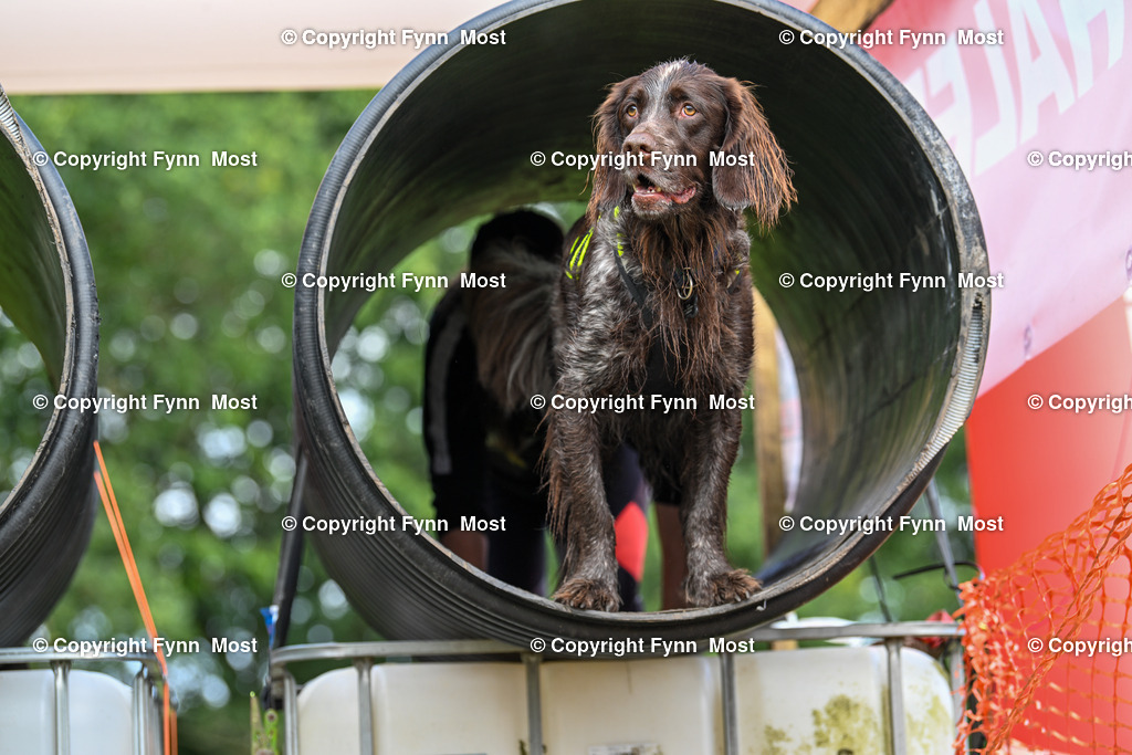 DSC_3906 | Hallo und herzlich Willkommen auf meiner Shop-Seite Fynn Most.

Ich wünsche Dir viel Spaß beim stöbern durch die Bilder, wenn Du Fragen hast oder Bilder vermisst, kannst du mir gerne eine Nachricht schreiben. - Realisiert mit Pictrs.com