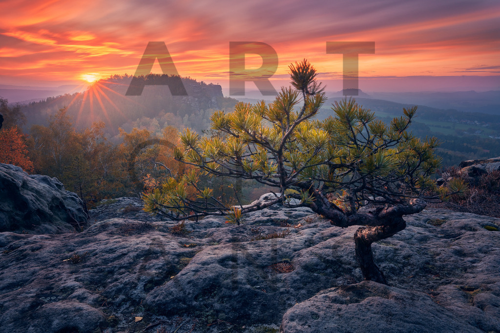 Ein Hans Fineart Original | Entdecke die Kunst von Hans Fineart - Fotografien für dein Zuhause. Verwandle deine Wände mit einzigartigen Kunstwerken und bringe die Schönheit der Welt in dein Leben. Bestelle jetzt und schaffe einen Ort der Inspiration und Eleganz.