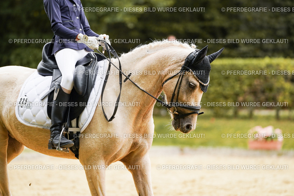 DSC00350 | Pferdegrafie