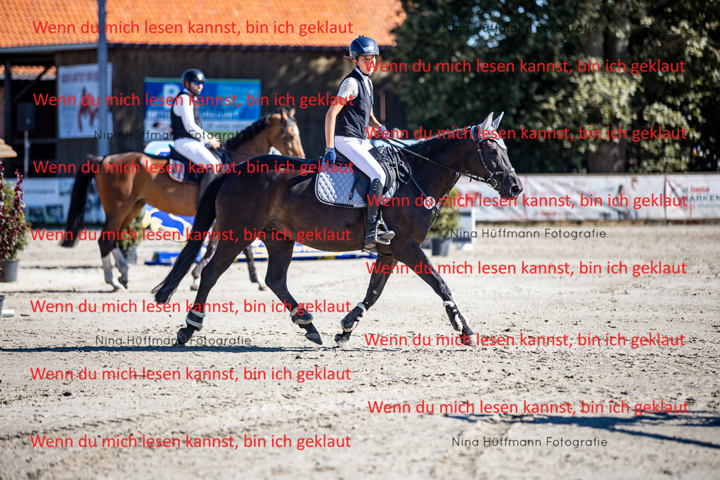 BK1A7927 | Turnierbilder Turnierfotos Nina Hüffmann Turnierfotografie Pferdefotografie Tierzeichnung Haustierzeichnung Pferdezeichnung Hundezeichnung Videograf  - Realisiert mit Pictrs.com