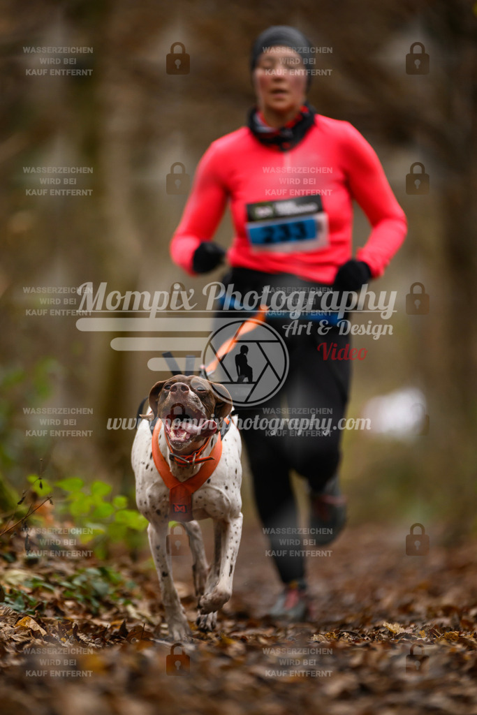 MompixPhotography_Eschau2024_CCC-119 | PayLife