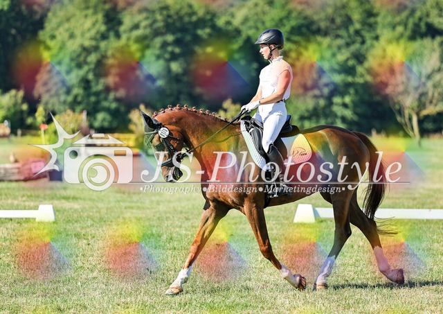 20260628_14a_VA_Dressur-97 | JS-Photostyle - Sport-/Portrait- & Eventfotografie