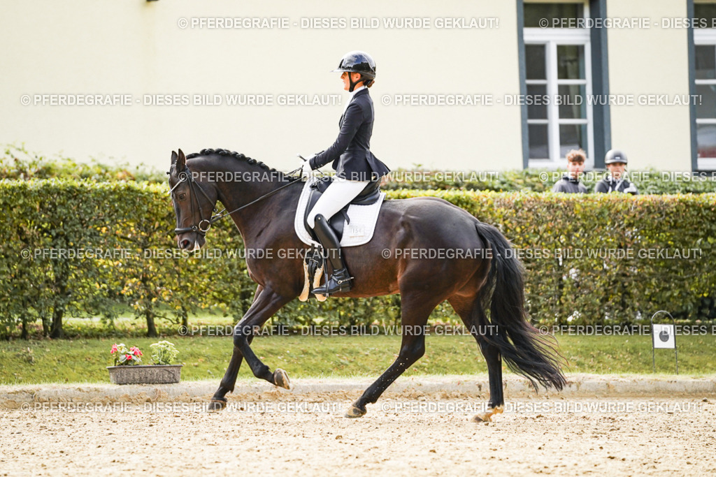 DSC00901 | Pferdegrafie