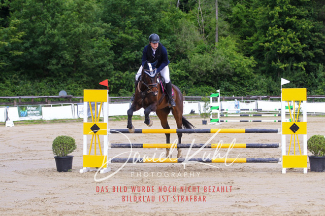 DKP41576 | Turniersportfotografie; Pferdefotografie; Dressurfotografie