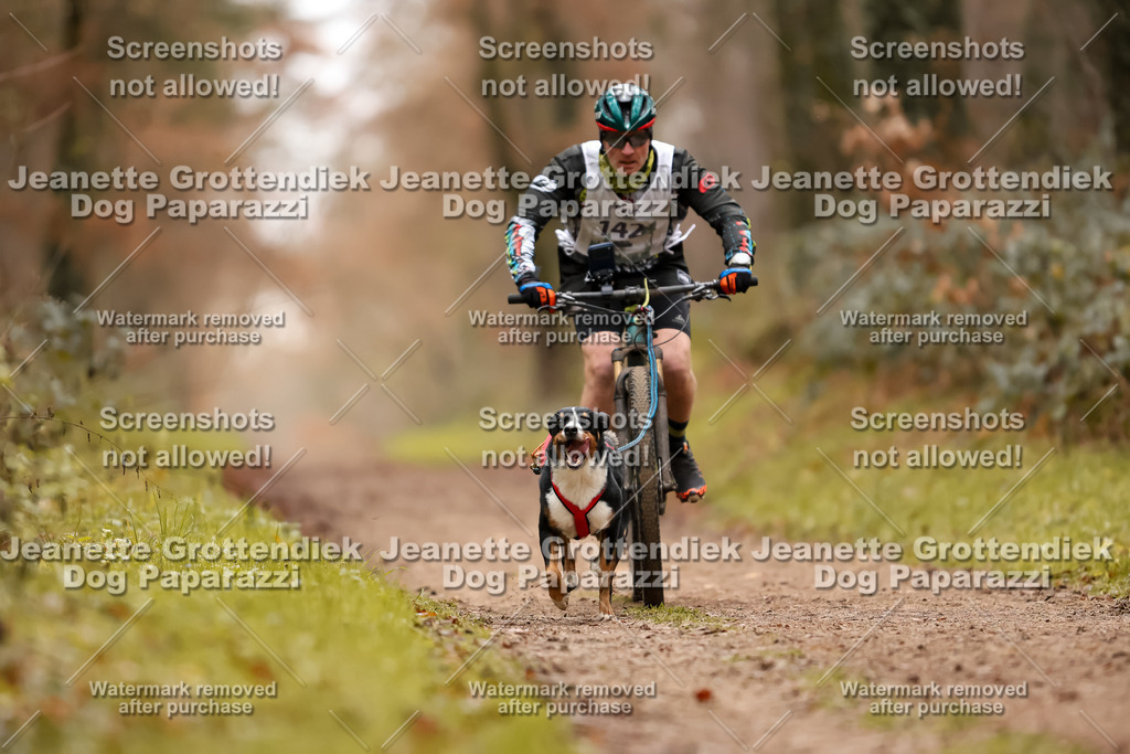 Dog Paparazzi - Speedhunter Mannheim  2025-397 | Dog Paparazzi Jeanette Grottendiek Fotografie & Videografie