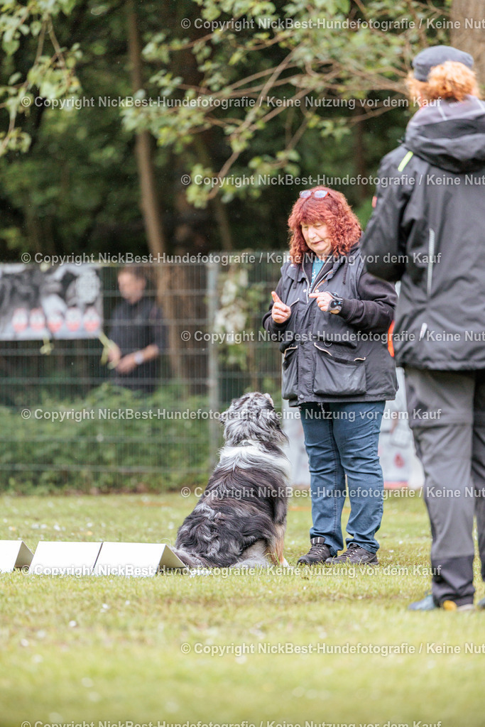 RO-Blumenthal-2026-Nickbest-Hundefotografie-3557 | Dein Hund! Dein Moment! Deine Erinnerungen! Hundefotografie in Bremen Blumenthal. Ich fange die besonderen Momente deines Vierbeiners ein – ob Indoor mit Blitzanlage oder in der freien Natur. Sicher dir dein Moment und dein Termin für eure Erinnerungen.