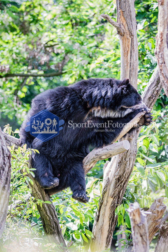 IMG_6410 | SportEventFotografie - Roman Stoiber