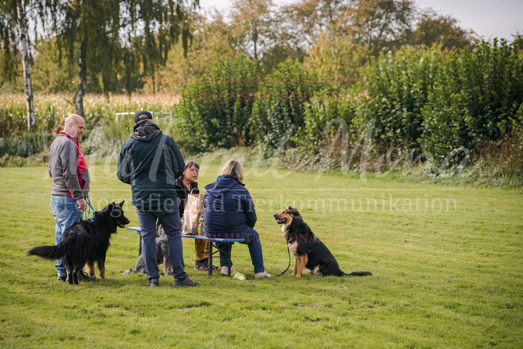 20250928_Hunderennen-347 | MuT (Mensch und Tier) mit Mona - Fotografie und Tierkommunikation - Realisiert mit Pictrs.com