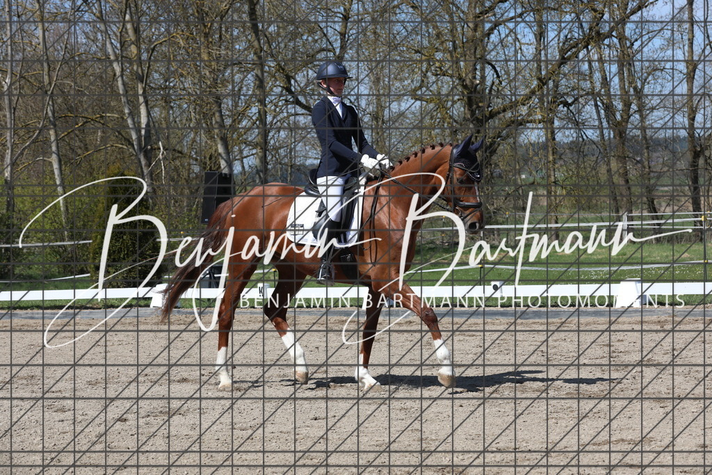 AZ2A5145 | Benjamin Bartmann Photomoments