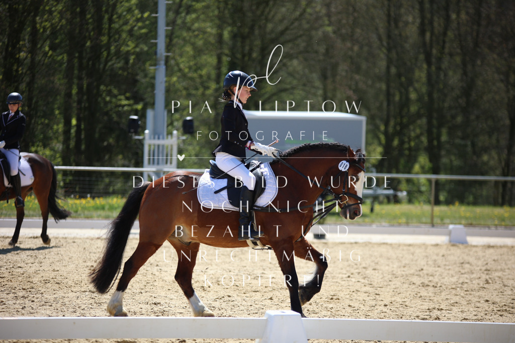 IMGT0526 | pl-fotografie