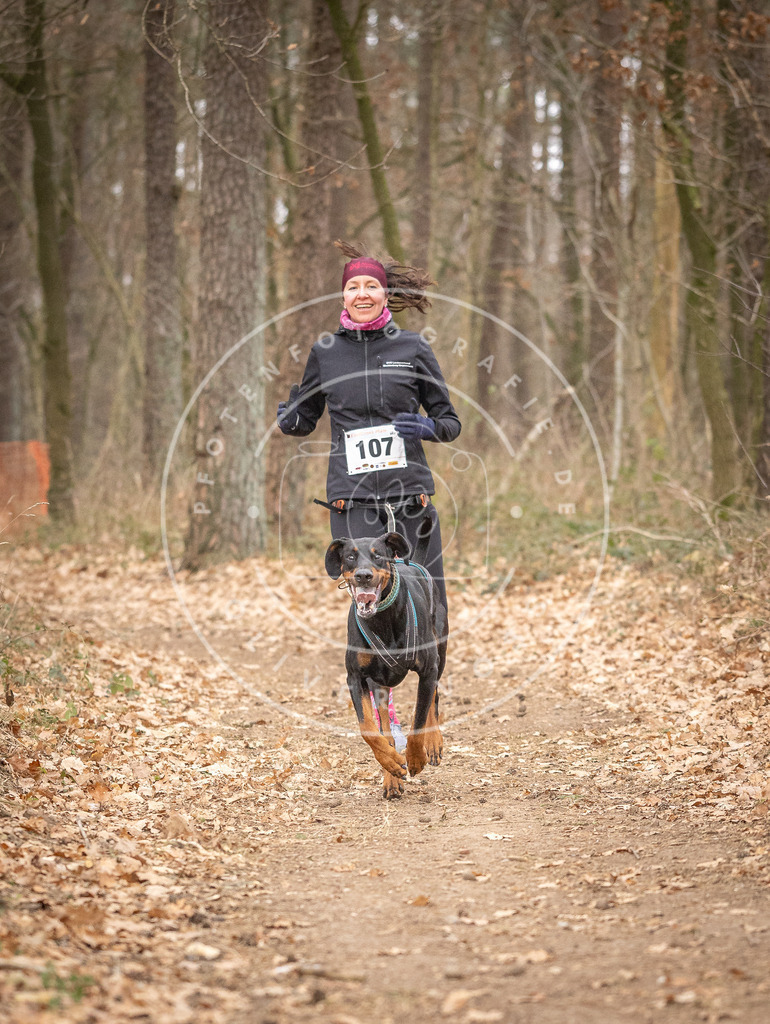 Pfotenfotografie_DV3A7646 | Hundefotografie, Tierfotograf, Pfotenfotografie, Fotoshooting Hund, Hunde Portrait, Hundesport, Hundeportraits, Heideshooting, Hunde, Sportfotograf, Hundefotograf, Turnierhundsport, THS,  - Realisiert mit Pictrs.com