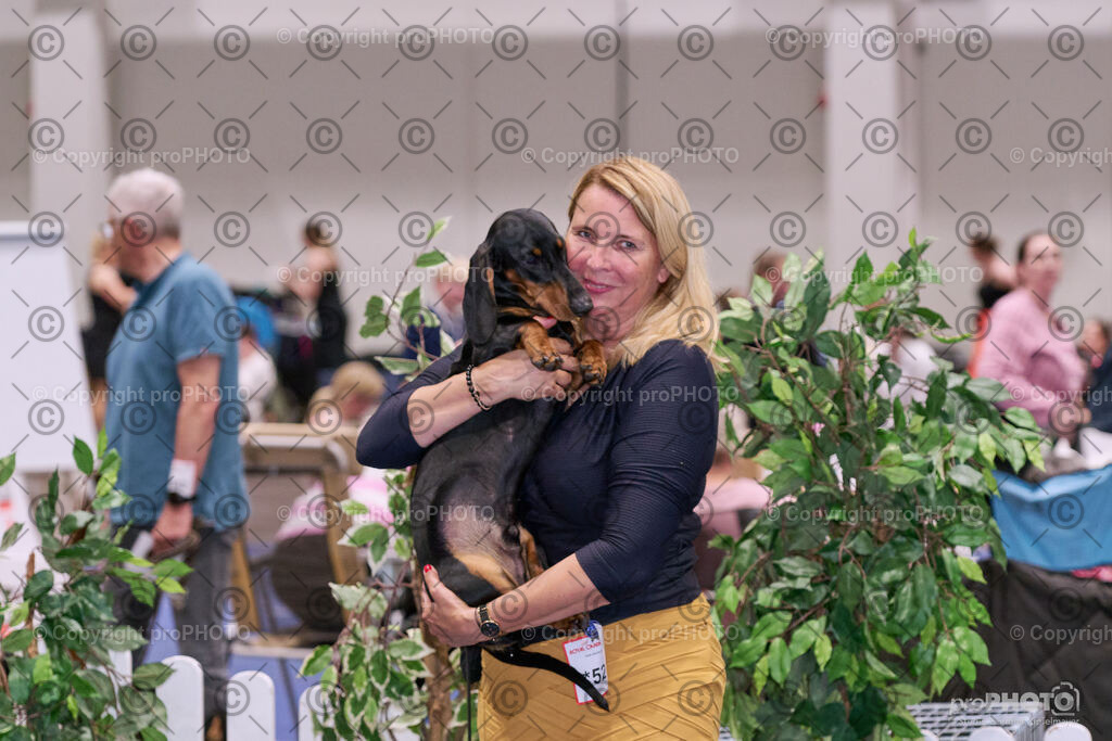 202406_ÖKV-IHA-Tulln24_NZ9_8675 | proPHOTO - Realisiert mit Pictrs.com