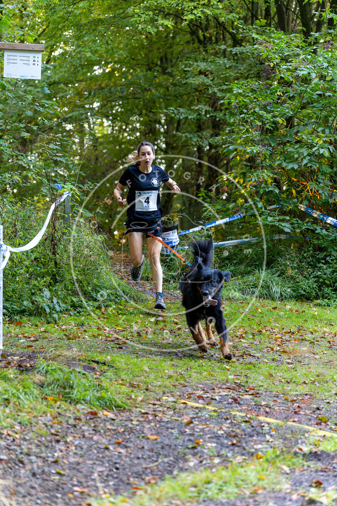 Pfotenfotografie_DV3A6205 | Hundefotografie, Tierfotograf, Pfotenfotografie, Fotoshooting Hund, Hunde Portrait, Hundesport, Hundeportraits, Heideshooting, Hunde, Sportfotograf, Hundefotograf, Turnierhundsport, THS,  - Realisiert mit Pictrs.com