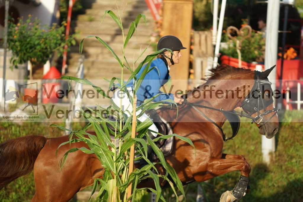 DSC02088 | equestrian-live-com