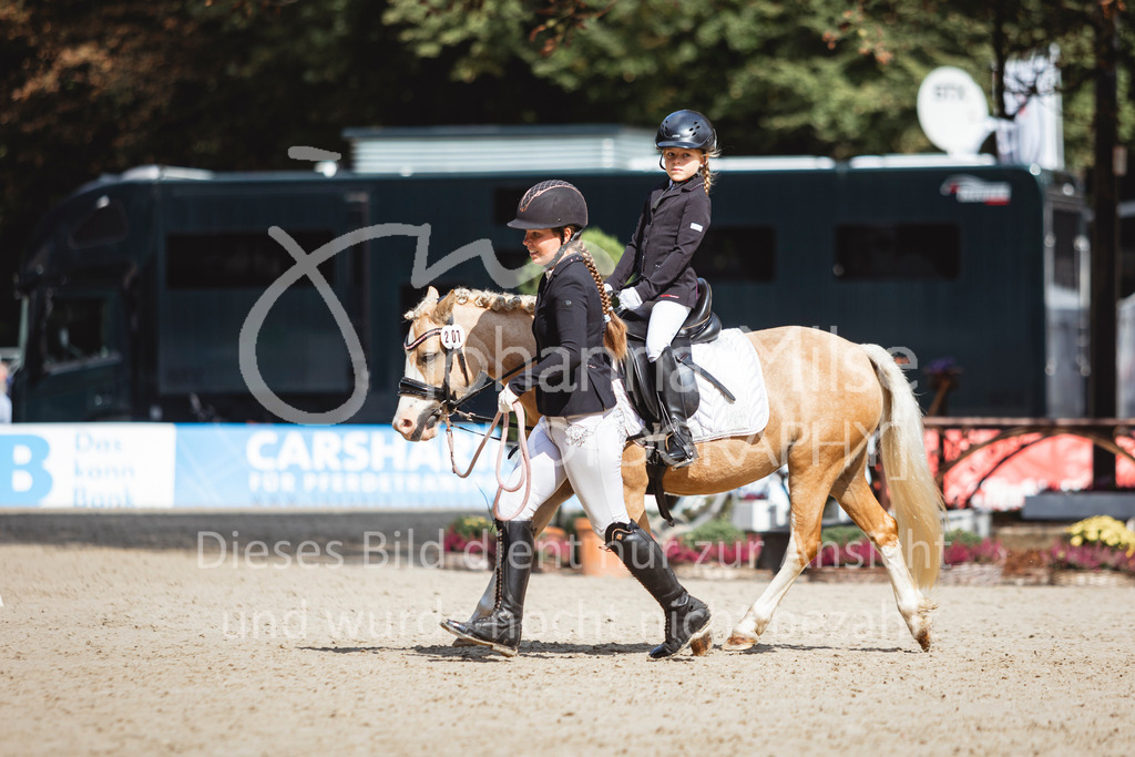 240915_OWLCh_FuehrzuegelWB-688 | Deine schönsten Turniermomente als professionelle Fotos! Entdecke hochwertige Pferdesport-Fotografie im Online-Shop. Jetzt Fotos finden & bestellen!